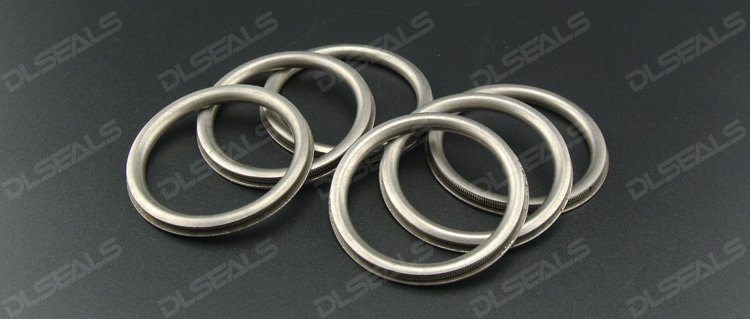 metal sealing ring