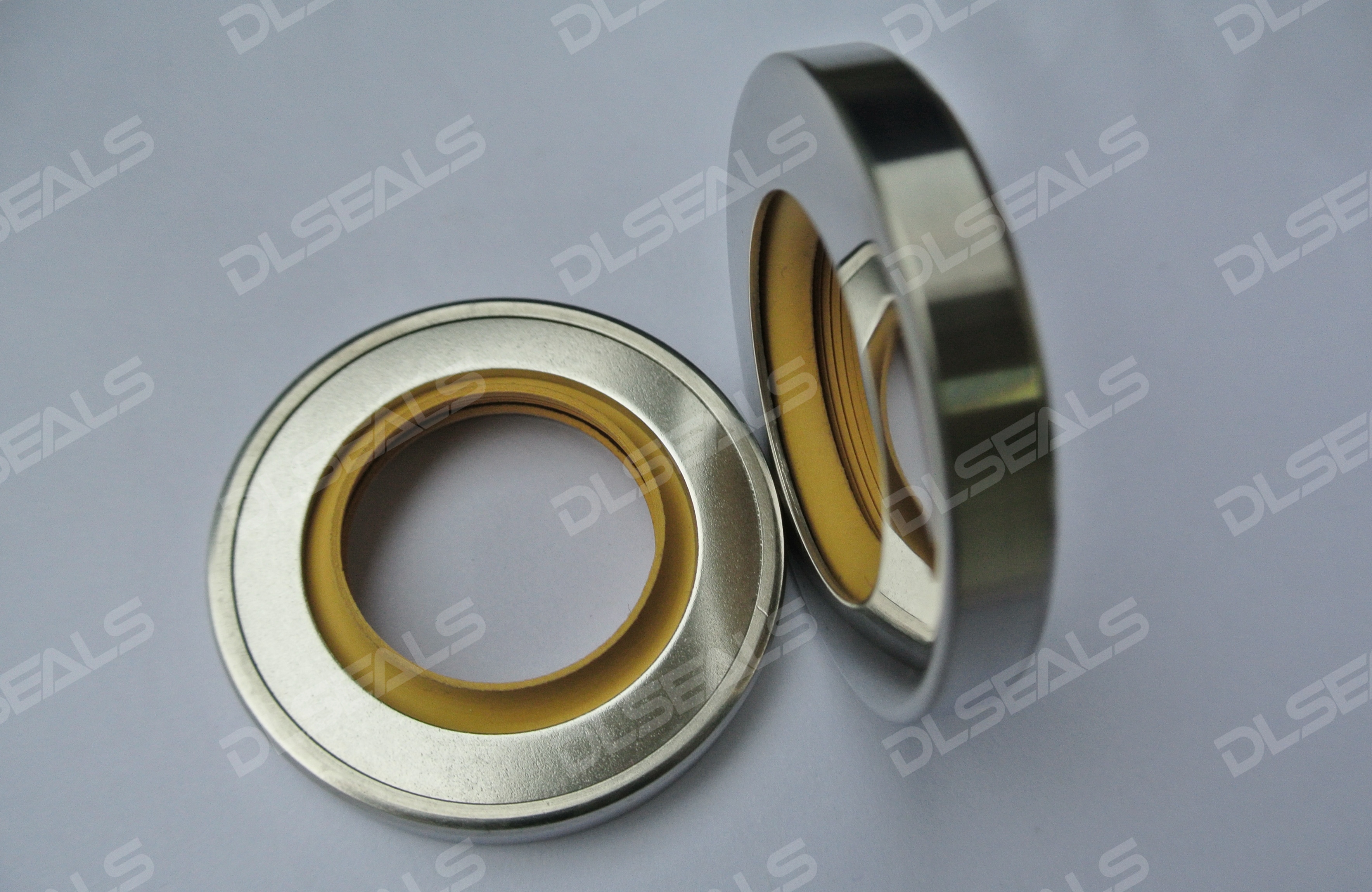 Stainless Steel Double-Lip Bidirectional Oil Seal: High-Performance Sealing Solution