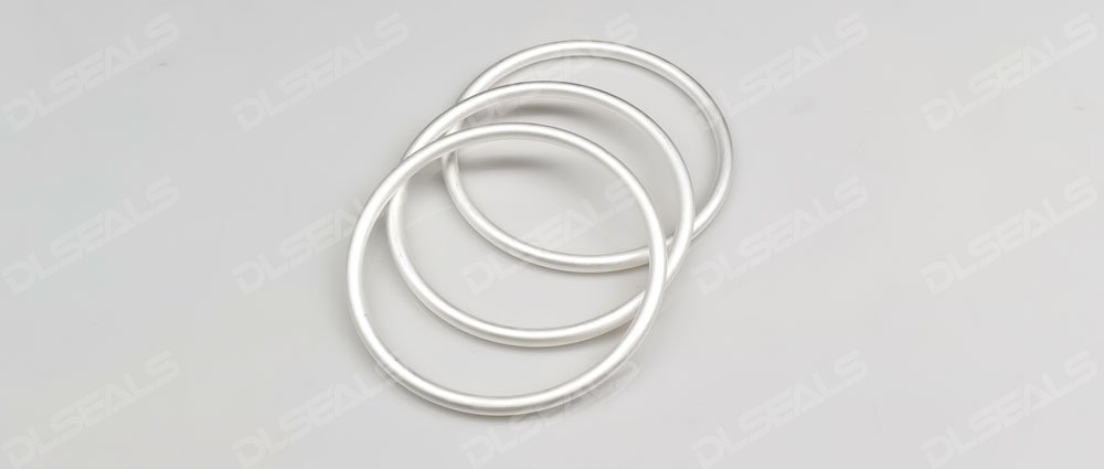 Metal hollow O-ring