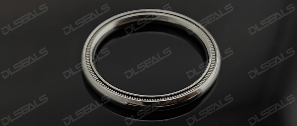 spring metal sealing ring