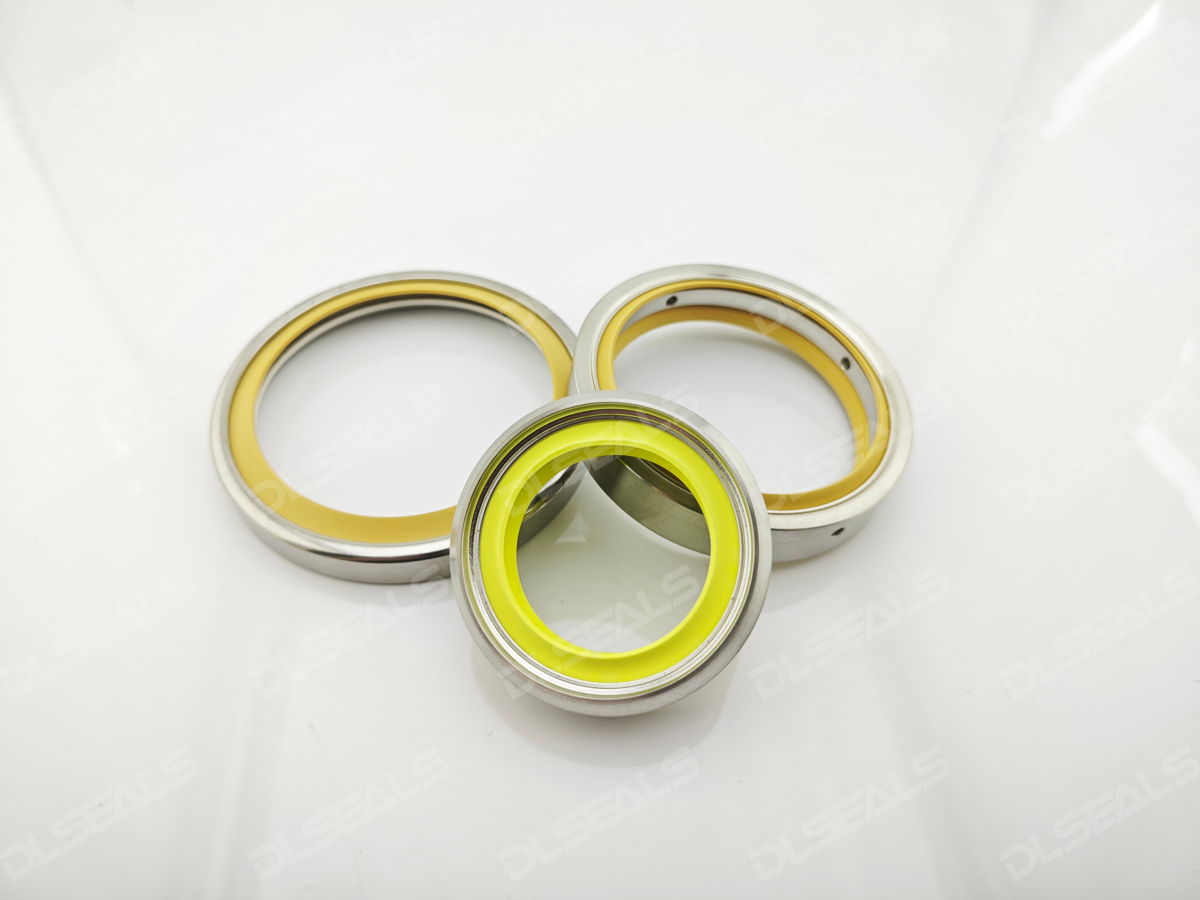 Stainlesel Oil Seals Stes