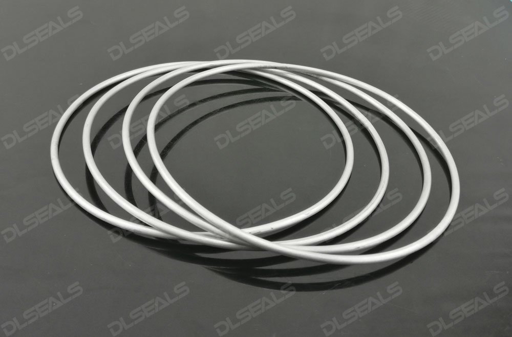 Metal O ring: customized sealing for gases