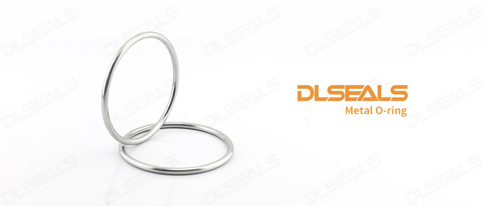 Metal E-ring vs Metal O-ring: Which one is more suitable for high temperature environments?