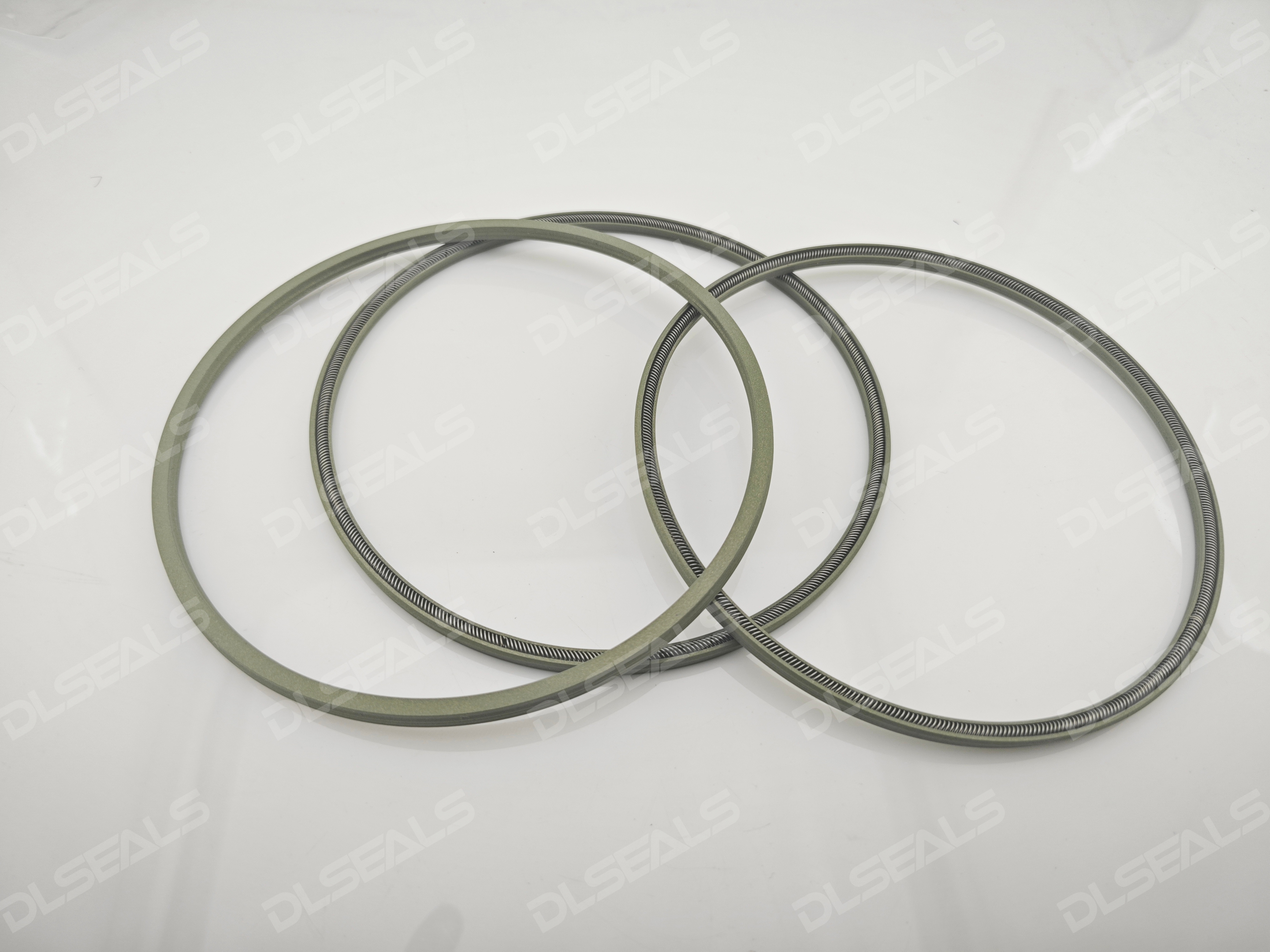 Spring Energized Seals