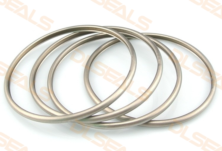 Selecting Sealing Components for Media Containing Natural Gas and Hydrogen Sulfide: A Guide for Harsh Conditions